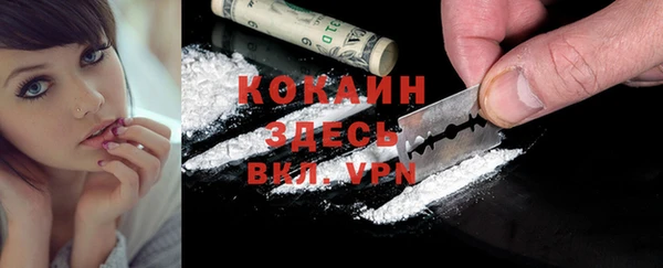 PSILOCYBIN Бугульма