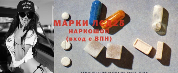 PSILOCYBIN Бугульма