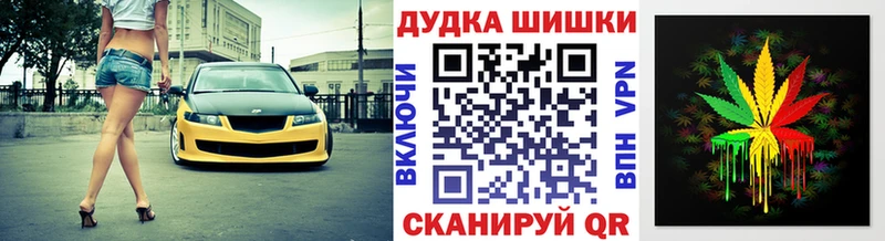 Каннабис план  купить закладку  Северо-Курильск 